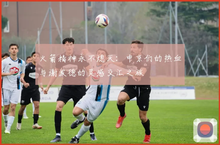 火箭精神永不熄灭：申京们的热血与谢泼德的灵感交汇之旅