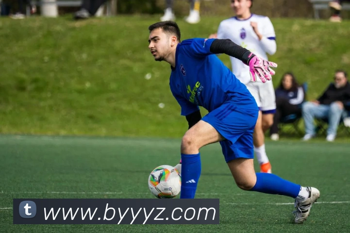 九游网页官方网站平台生态图