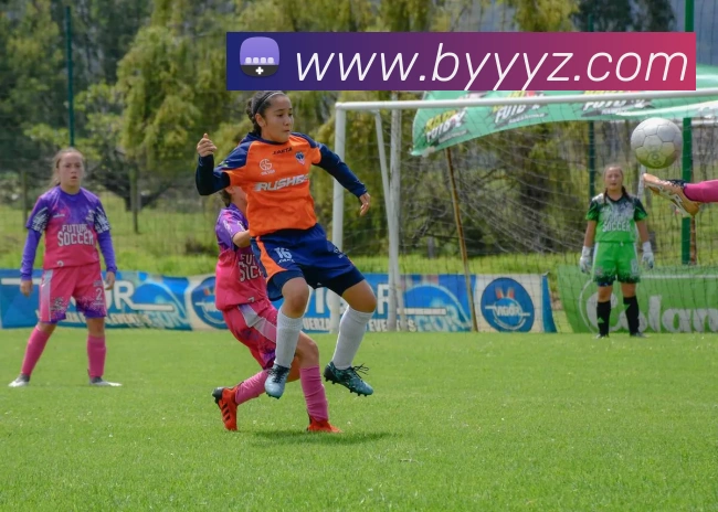 九游网页官方网站APP 封面图